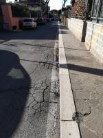 Tra radici e buche, gli automobilisti di S. Maria delle Mole fanno lo slalom Copertina