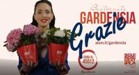Grande successo a Santa Maria per l’iniziativa "Bentornata Gardensia" Copertina