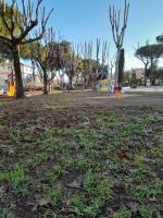 La menomazione delle Piante forestali del Parco Ruggero Lupini Copertina
