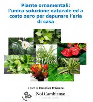 PIANTE ORNAMENTALI,  SOLUZIONE NATURALE PER DEPURARE LARIA DI CASA Copertina