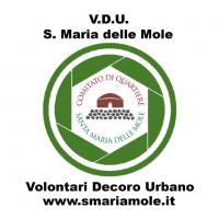 A proposito di Volontari Decoro Urbano Copertina