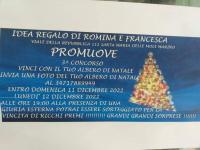 La ladra di alberi di Natale Copertina