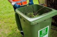 PORTA A PORTA GRATUITA ANCHE PER LA RACCOLTA DEL VERDE Copertina