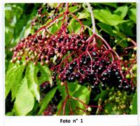 News 5
