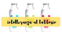 Latte, lattosio & lattasi....una storia da conoscere Copertina