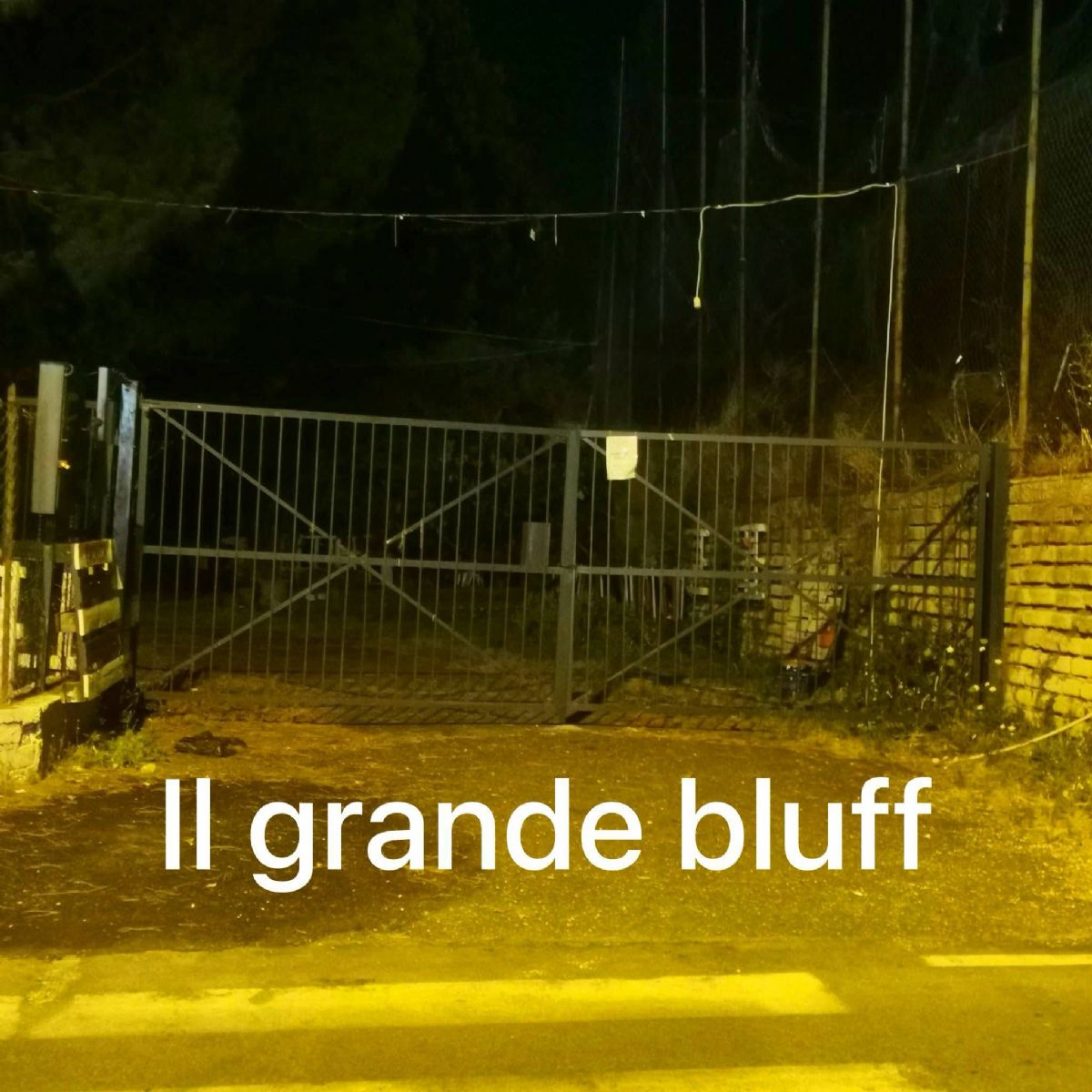 Sassone