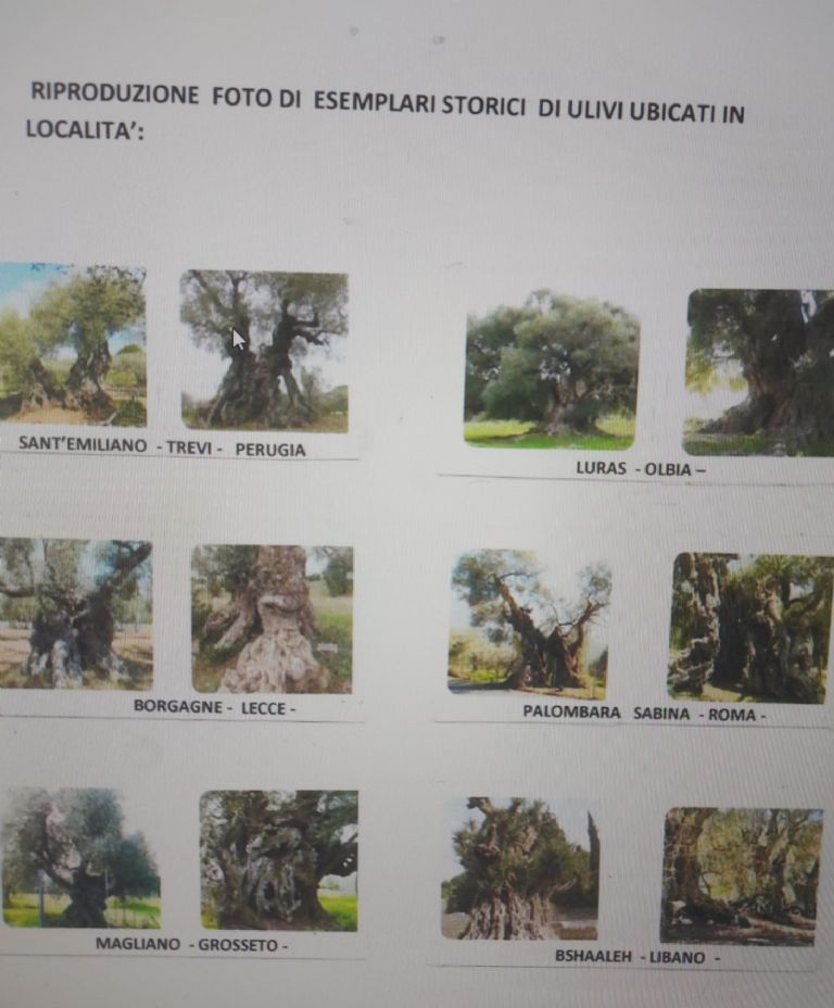 Natura e Botanica