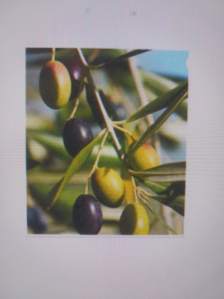 Natura e Botanica